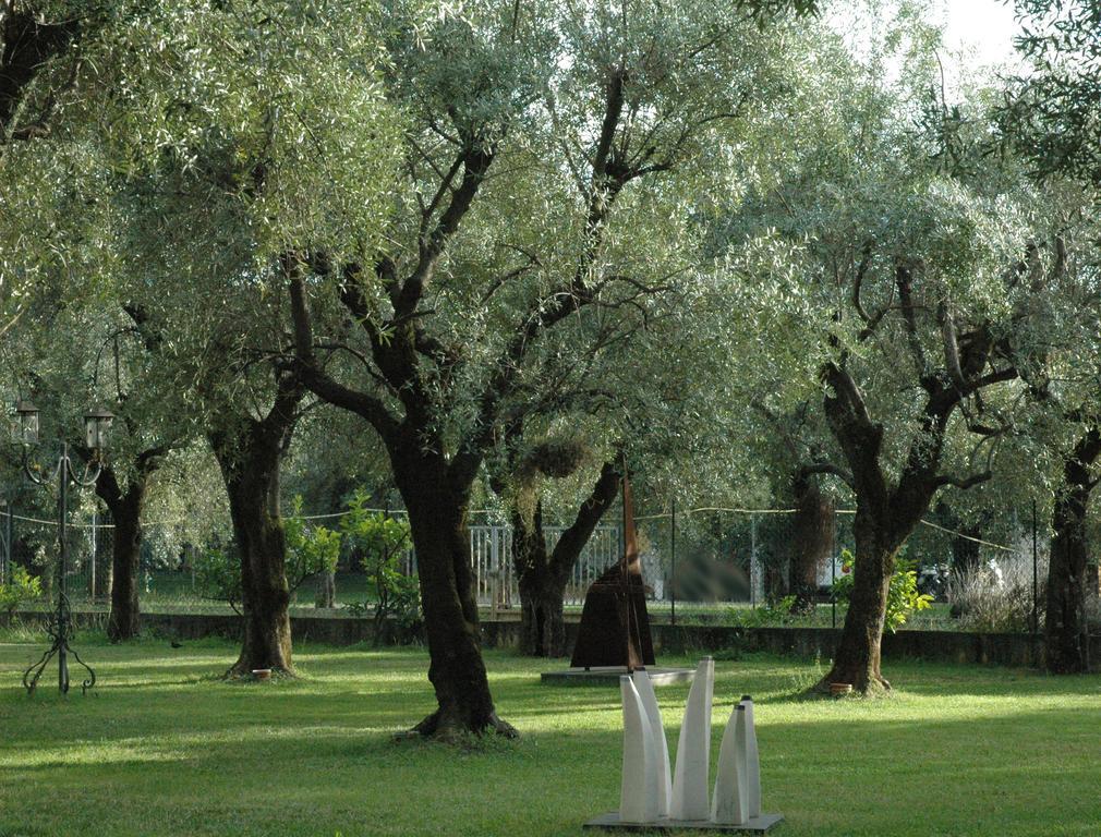 Antico Uliveto Seravezza Exterior foto