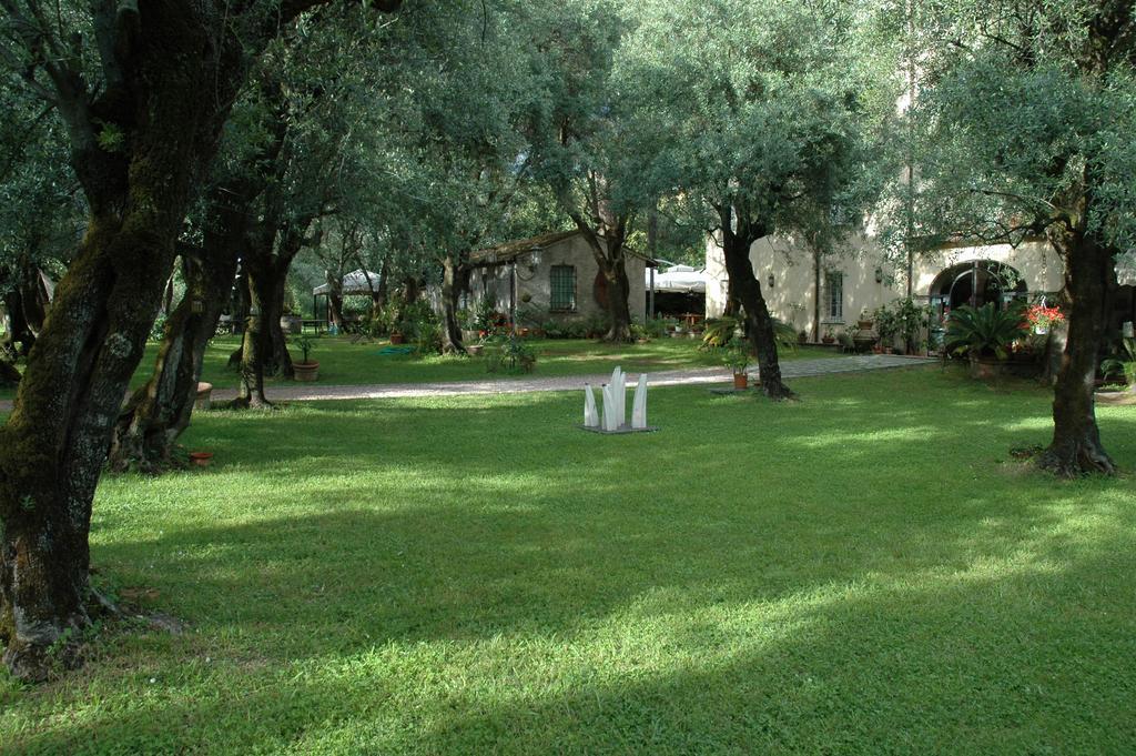Antico Uliveto Seravezza Exterior foto
