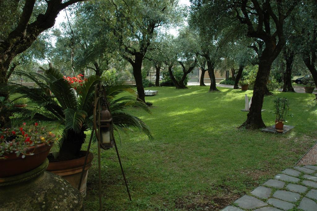 Antico Uliveto Seravezza Exterior foto