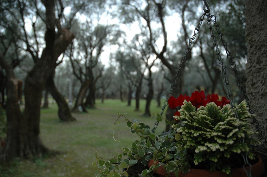 Antico Uliveto Seravezza Exterior foto
