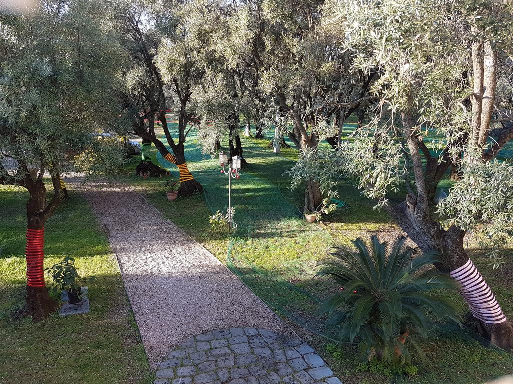 Antico Uliveto Seravezza Exterior foto