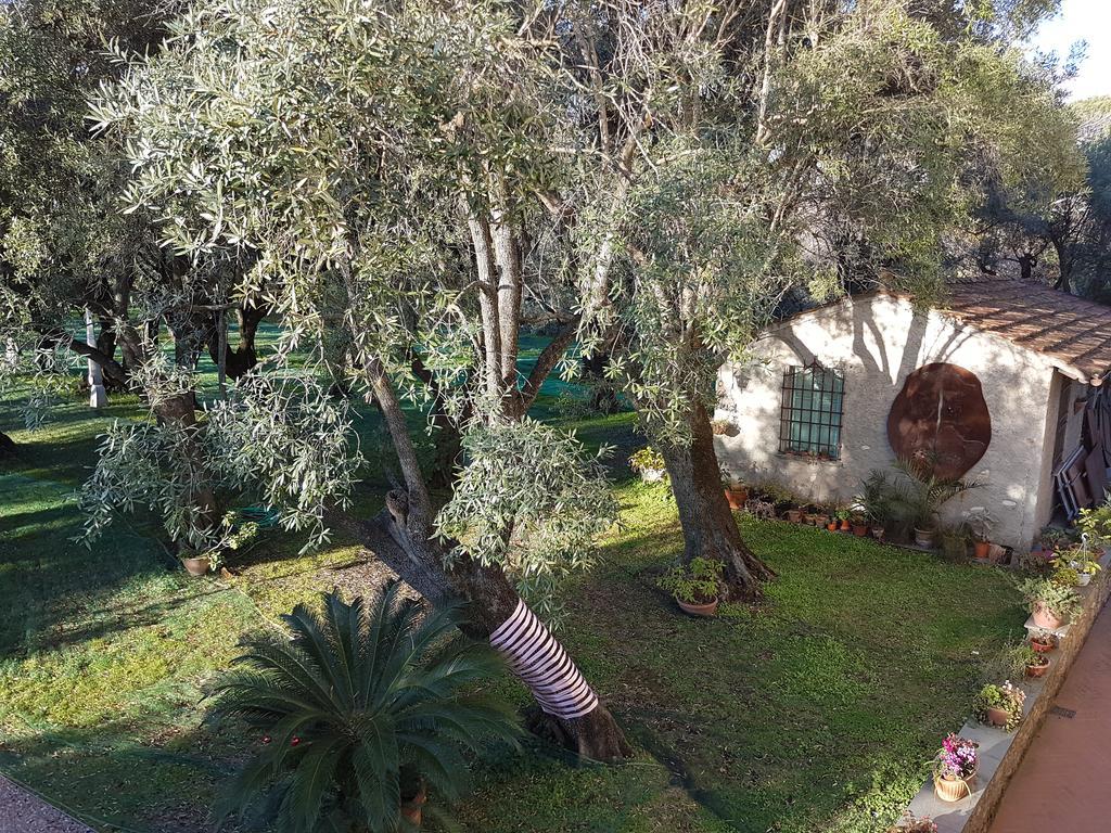 Antico Uliveto Seravezza Exterior foto