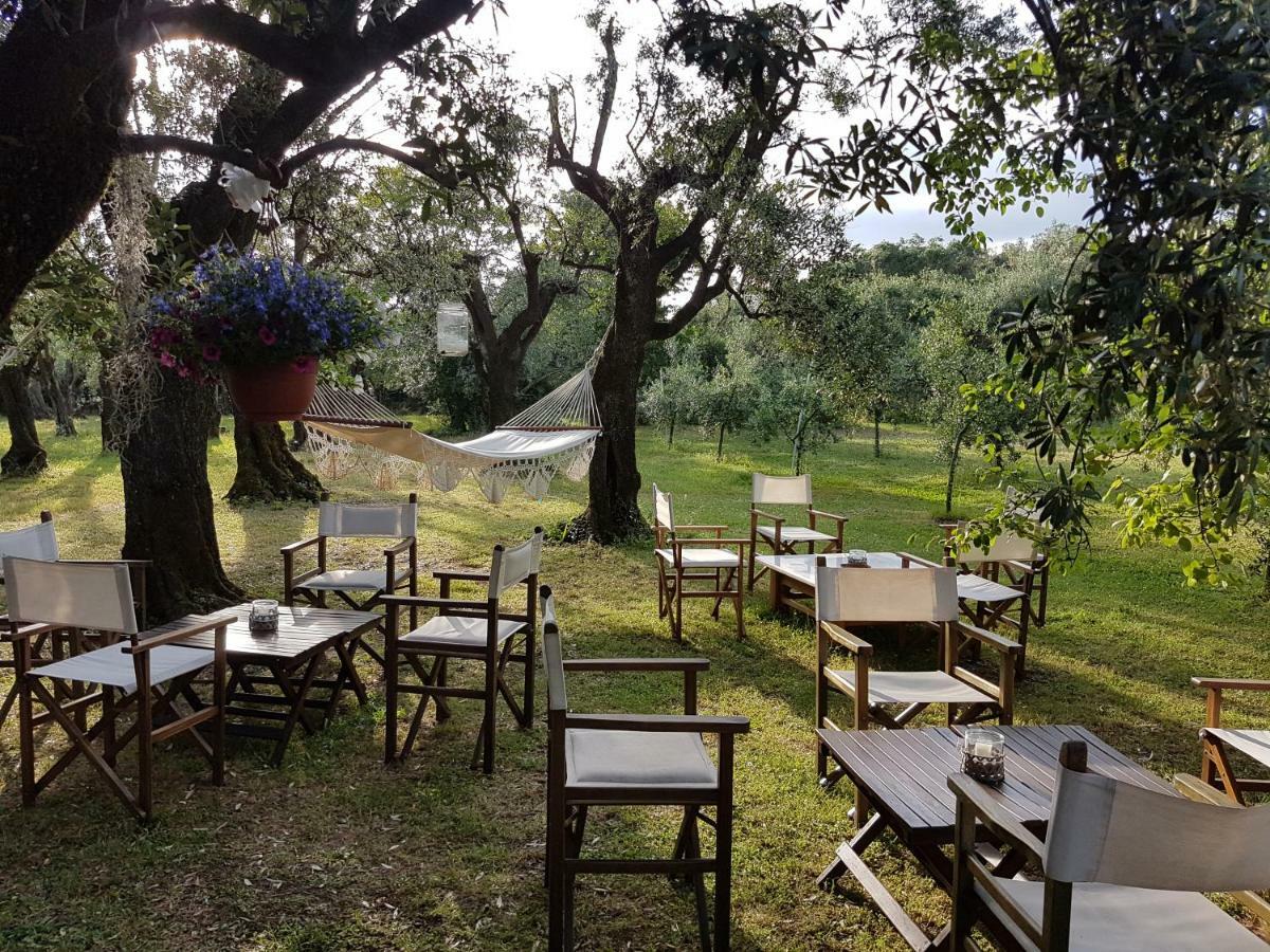 Antico Uliveto Seravezza Exterior foto