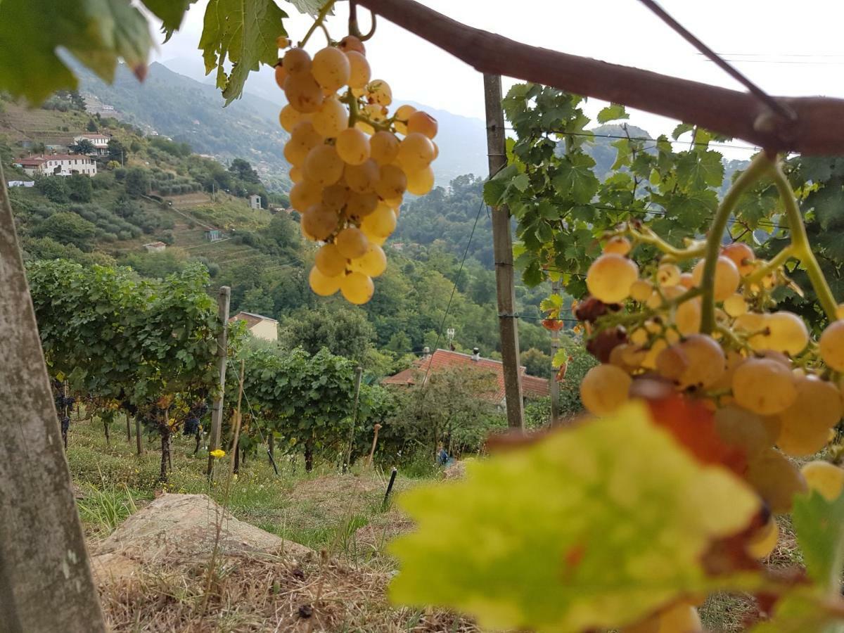 Antico Uliveto Seravezza Exterior foto